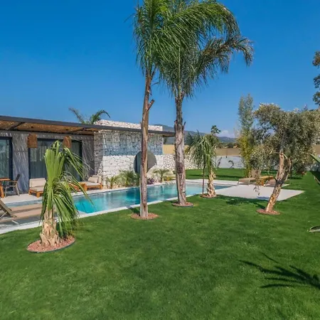 Vio 2 4*